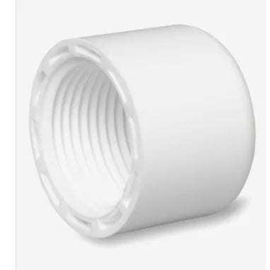 1 In. FPT Threaded Sch 40 PVC Cap - .1 lbs