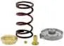 Valve Spring Kit - 0.4 Lbs