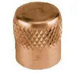 Brass Flare Seal Cap - 1/4 in. Female Flare