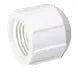 3/4 FPT Cap PVC Threaded - 0.037 Lbs